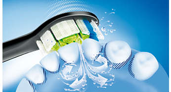 Zegar okresowy Quadpacer zachęca do dokładnego mycia każdej części jamy ustnej