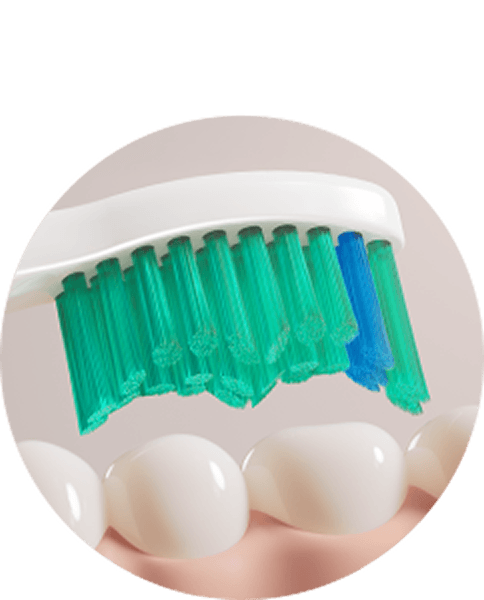 Zbliżenie na końcówkę szczoteczki znajdującą się nad zębami.