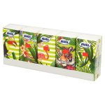 Chusteczki higieniczne Mola 10 x 10szt. - 3-warstwowe