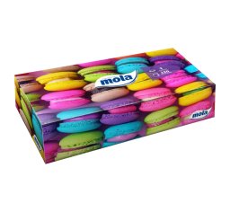 Chusteczki higieniczne Mola 120szt. - 2-warstwowe