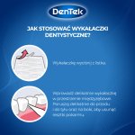 DenTek Wykałaczki dentystyczne Pocket Picks – 3 rodzaje wykałaczek z etui, 33 szt.