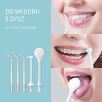 Panasonic Irygator stacjonarny EW1614 