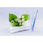 SHINYEI CRYSTAL FRESH - Japońska szczoteczka do zębów z naturalną ceramiką /miękka/ - Czyści zęby bez użycia pasty