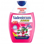 Vademecum pasta 6+lat junior 75ml 2w1 odświeżająca truskawka 